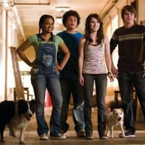 Foto Um Hotel Bom pra Cachorro