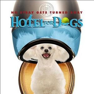 Foto Um Hotel Bom pra Cachorro