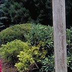 Foto Histórias Proibidas