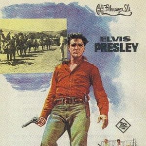 Foto Estrela de Fogo