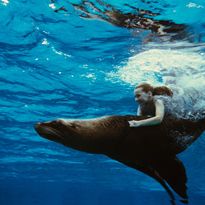 Foto A Ilha da Imaginação