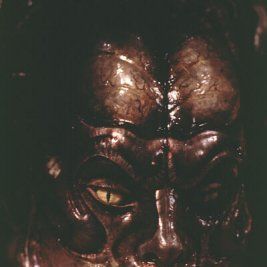 Foto A Experiência 2 - A Mutação