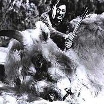 Foto O Grande Búfalo Branco