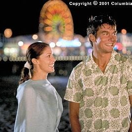 Foto Gatos Numa Roubada