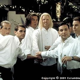 Foto Gatos Numa Roubada