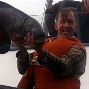 Foto Um Estranho no Ninho