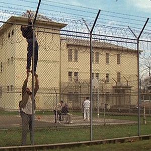 Foto Um Estranho no Ninho