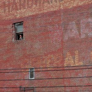 Foto Factotum - Sem Destino