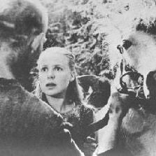 Foto A Fonte da Donzela