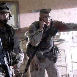 Foto Falcão Negro em Perigo