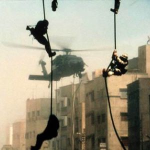 Foto Falcão Negro em Perigo