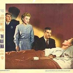 Foto A Gardênia Azul