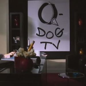 Foto Esperança e Preconceito