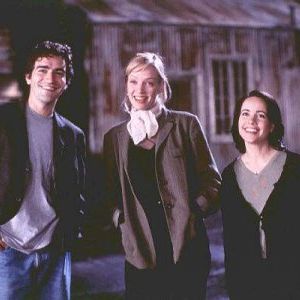 Foto Feito Cães e Gatos