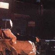 Foto Hudson Hawk - O Falcão Está À Solta