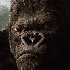 Foto King Kong