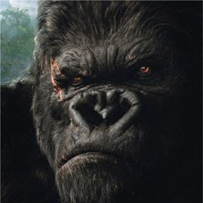 Foto King Kong