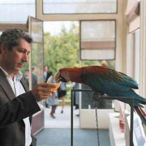 Foto A Noiva Perfeita