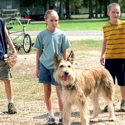 Foto Meu Melhor Amigo