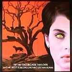 Foto A Marca da Pantera