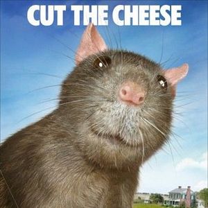 Foto A Menina e o Porquinho