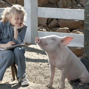 Foto A Menina e o Porquinho