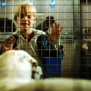 Foto Olha Quem Está Falando Agora