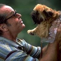 Foto Melhor É Impossível