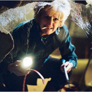 Foto Malditas Aranhas!