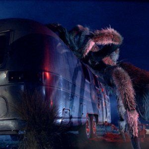 Foto Malditas Aranhas!