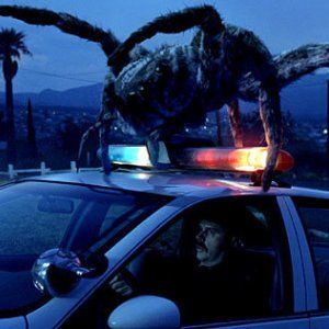 Foto Malditas Aranhas!