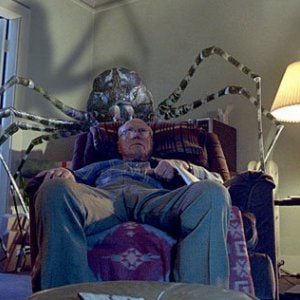 Foto Malditas Aranhas!