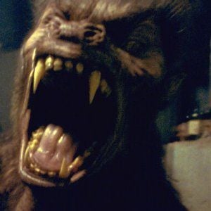 Foto Um Lobisomem Americano Em Paris