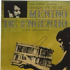 Foto Menino de Engenho