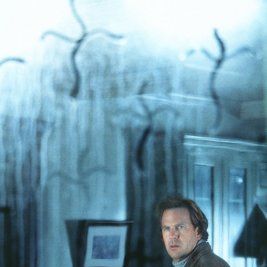 Foto O Mistério da Libélula