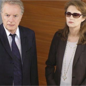 Foto Lemming - Instinto Animal