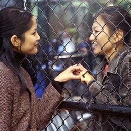 Foto Livrando a Cara