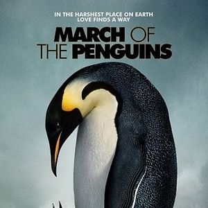 Foto A Marcha dos Pingüins