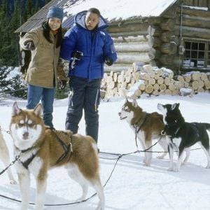 Foto Neve pra Cachorro