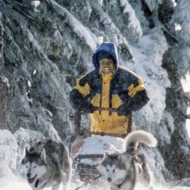 Foto Neve pra Cachorro