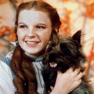 Foto O Mágico de Oz