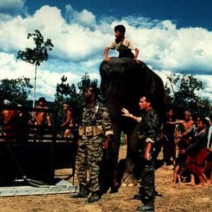 Foto Operação Dumbo