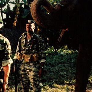 Foto Operação Dumbo