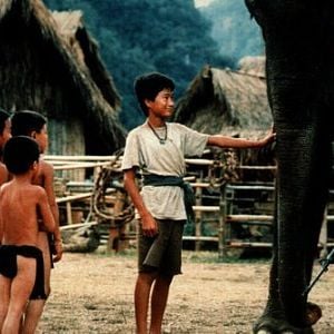 Foto Operação Dumbo