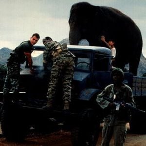 Foto Operação Dumbo