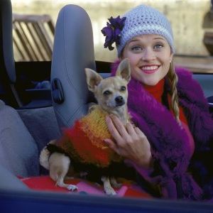 Foto Legalmente Loira