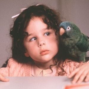 Foto Paulie - Um Papagaio Bom de Papo