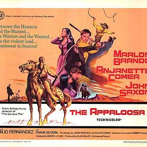 Foto Sangue em Sonora