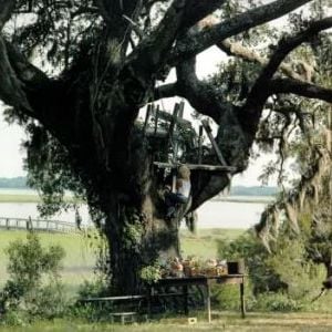 Foto O Príncipe das Marés