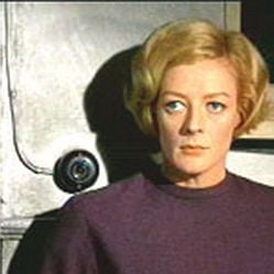 Foto A Primavera de uma Solteirona